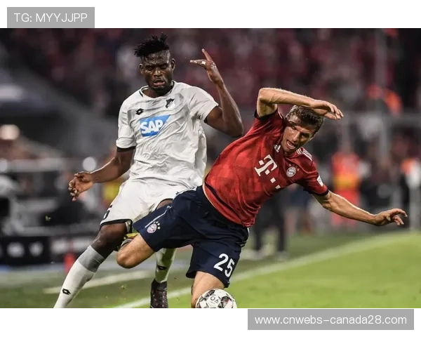 霍芬海姆老将克拉马里奇经验丰富，率队挑战拜仁